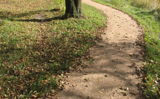 22_Bridvaišio ežero rekreacinis takas.jpg